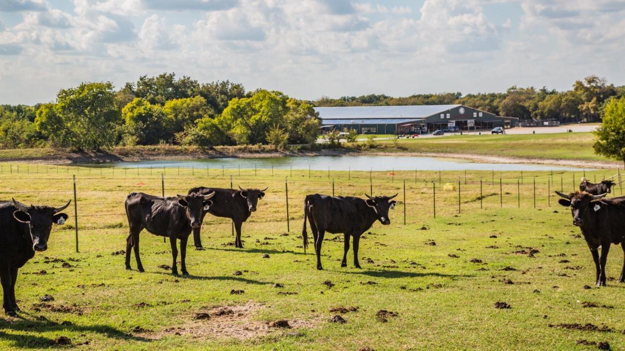 Nrs Event Center & Guest Ranch Hotel Decatur Buitenkant foto